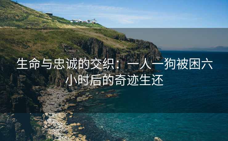 生命与忠诚的交织:一人一狗被困六小时后的奇迹生还 生命与忠诚的交织:一人一狗被困六小时后的奇迹生还