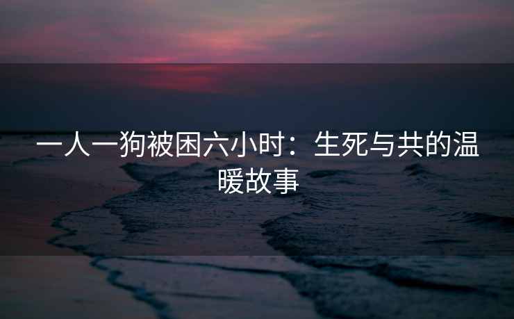 一人一狗被困六小时：生死与共的温暖故事