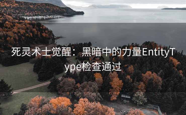 死灵术士觉醒：黑暗中的力量EntityType检查通过